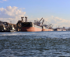 Com 29.081.691 toneladas de cargas movimentadas, os portos do Paraná alcançaram o melhor semestre da história. O volume de produtos importados e exportados entre janeiro e junho de 2021 é 3% maior que o registrado no mesmo período de 2020, quanto foram 28.177.335 toneladas.  - Paranaguá, 08/07/2021  -  Foto: Claudio Neves/Portos do Paraná