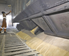 A quantidade de vagões e o volume de cargas movimentadas via ferrovia com origem ou destino ao Porto de Paranaguá aumentaram no primeiro semestre.
Foto: Claudio Neves/Portos do Paraná