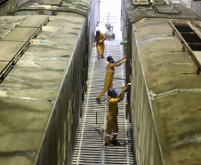 A quantidade de vagões e o volume de cargas movimentadas via ferrovia com origem ou destino ao Porto de Paranaguá aumentaram no primeiro semestre.
Foto: Claudio Neves/Portos do Paraná