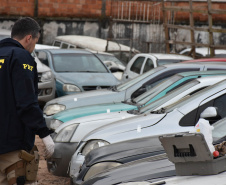 Em operação conjunta, PRF identifica veículos roubados ou furtados em pátio do Detran.  -  Curitiba, 13/07/2021  -  Foto: Detran-PR