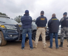 Em operação conjunta, PRF identifica veículos roubados ou furtados em pátio do Detran.  -  Curitiba, 13/07/2021  -  Foto: Detran-PR