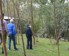 O Monumento Natural Estadual Salto São João, localizado no município de Prudentópolis, região Centro-sul do Estado, recebeu nessa quinta-feira (15) o seu Plano de Manejo - documento com normas para utilização dos atrativos naturais, visando a proteção ambiental do local.  -  Curitiba, 15/07/2021  -  Foto: SEDEST