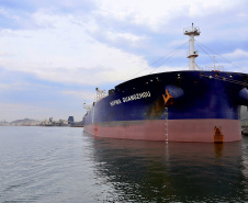 Mais um grande navio do segmento de granéis líquidos opera no Porto de Paranaguá. Atracado no píer privativo da Cattalini Terminais Marítimos, o Hafnia Guangzhou descarrega óleo Diesel, vindo dos Estados Unidos. A embarcação de bandeira maltesa tem 228,39 metros de comprimento (LOA) e 38,04 metros de largura (boca).  - Paranaguá, 16/07/2021  -  Foto: Claudio Neves/Portos do Paraná