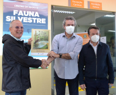 O Hospital Veterinário do Centro Universitário Filadélfia (UniFil), em Londrina, região Norte do Estado, agora é oficialmente um Centro de Apoio à Fauna Silvestre (CAFS). O local presta auxílio ao Instituto Água e Terra (IAT) no recebimento de animais silvestres vítimas de atropelamento, maus-tratos, comércio ilegal, tráfico e cativeiro irregular, que precisam de atendimento veterinário. A inauguração aconteceu nessa sexta-feira (16).  -  Londrina, 16/07/2021  -  Foto: SEDEST/IAT