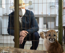O Hospital Veterinário do Centro Universitário Filadélfia (UniFil), em Londrina, região Norte do Estado, agora é oficialmente um Centro de Apoio à Fauna Silvestre (CAFS). O local presta auxílio ao Instituto Água e Terra (IAT) no recebimento de animais silvestres vítimas de atropelamento, maus-tratos, comércio ilegal, tráfico e cativeiro irregular, que precisam de atendimento veterinário. A inauguração aconteceu nessa sexta-feira (16).  -  Londrina, 16/07/2021  -  Foto: SEDEST/IAT