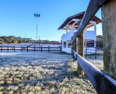Paraná tem 16 cidades com temperaturas negativas; General Carneiro registrou -7,8ºC  Foto: Valdelino Pontes/AEN