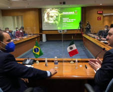 Governador Ratinho Junior cumpre agenda no México para atrair novos investimentos
Foto: AEN