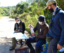 Levantamento de fauna da Serra do Mar ajuda a prever a descida dos trilhos da Nova Ferroeste 
Foto: Mirella Gimenes/ Nova Ferroeste