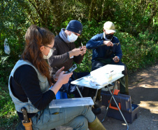 Levantamento de fauna da Serra do Mar ajuda a prever a descida dos trilhos da Nova Ferroeste 
Foto: Mirella Gimenes/ Nova Ferroeste