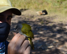 Levantamento de fauna da Serra do Mar ajuda a prever a descida dos trilhos da Nova Ferroeste 
Foto: Mirella Gimenes/ Nova Ferroeste