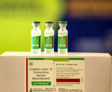 Vacinas da Fiocruz contra a Covid-19 chegam ao Centro de Medicamentos do Paraná
Foto: Gilson Abreu/AEN