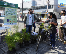 Com drive-thru solidário no Litoral do Estado, famílias carentes recebem nesta semana as doações de roupas, cobertores, sapatos e alimentos arrecadados em troca de uma muda frutífera do Instituto Água e Terra (IAT).  -  Curitiba, 27/07/2021  -  Foto: IAT