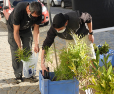 Com drive-thru solidário no Litoral do Estado, famílias carentes recebem nesta semana as doações de roupas, cobertores, sapatos e alimentos arrecadados em troca de uma muda frutífera do Instituto Água e Terra (IAT).  -  Curitiba, 27/07/2021  -  Foto: IAT