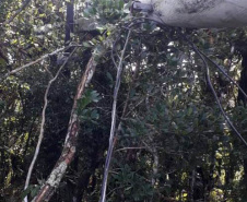 Polícia Civil do Paraná prende homem em flagrante por furto de energia no Litoral
Foto PCPR