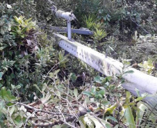 Polícia Civil do Paraná prende homem em flagrante por furto de energia no Litoral
Foto PCPR