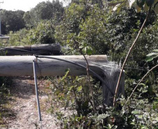 Polícia Civil do Paraná prende homem em flagrante por furto de energia no Litoral
Foto PCPR