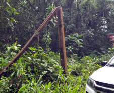 Polícia Civil do Paraná prende homem em flagrante por furto de energia no Litoral
Foto PCPR
