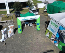 O Programa Permanente de Esterilização de Cães e Gatos ? Castrapet chega a Campo Mourão nesta terça-feira (03). Ao todo, 405 animais são aguardados no castramóvel do Governo do Paraná, entre cães e gatos.  O programa é permanente e a meta é atingir 100% do Estado. -  Curitiba, 02/08/2021  -  Foto: Alessandro Vieira/AEN