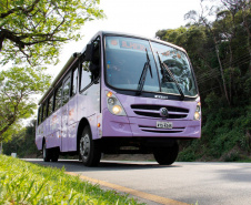Secretaria de Justiça, Família e Trabalho anuncia retorno do Ônibus Lilás para orientação das mulheres vítimas de violência  -  Curitiba, 03/08/2021  -  Foto: SEJUF