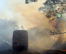 A estiagem severa que atinge o Paraná, aliada ao clima seco característico da estação e a vegetação ressecada por causa das geadas acendem um alerta no Estado para a ocorrência de incêndios florestais, com risco muito alto em todas as regiões.Foto:Gilson Abreu/AEN
