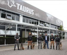 Cães de faro da PM passam por testes de faro de armas no Rio Grande do Sul  Foto: PMPR