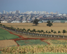Evento Agroconectado - Londrina, 12/08/2021  -  Foto: José Fernando Ogura/AEN