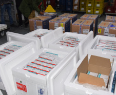 O Paraná recebeu na noite desta quarta-feira (11) mais 114.060 vacinas contra a Covid-19. São 50.310 doses da Pfizer/BioNTech e 63.750 da AstraZeneca/Fiocruz. Elas fazem parte da 37ª pauta de distribuição do Ministério da Saúde. -  Curitiba, 11/08/2021  -   Foto: Américo Antonio/SESA