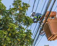 A Copel promove neste sábado (14) o mutirão anual de manutenção preventiva nas redes elétricas, com o objetivo de reduzir desligamentos de energia no período mais chuvoso do ano. Esta será a terceira edição do chamado "Dia D", com cerca de 2 mil trabalhadores em campo, em 79 municípios de todo o Paraná.  -  Curitiba, 13/08/2021  -  Foto: Copel