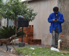 A presença de animais de estimação nos domicílios ganhou destaque ao longo da pandemia, sendo a companhia fiel de muitas famílias. Mas especialmente os cães, presentes em 57% dos lares na região Sul do Brasil segundo o IBGE, demandam atenção especial dos donos para que não ocorram acidentes. -  Curitiba, 16/08/2021  -  Foto: Rakelly Calliari/ COPEL