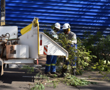 Mutirão da Copel promoveu inspeção e limpeza das rede. Foto:Rakelly Calliari/COPEL