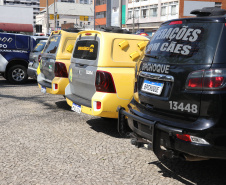 Denúncias de crimes e casos de violência na região Central da Capital embasaram a Ação Integrada de Fiscalização Urbana (AIFU), em parceria com a 1ª Companhia do 12º Batalhão da PM (12º BPM), a deflagrarem a primeira edição da operação Centro Seguro, nesta quinta-feira (19/08).   -  Curitiba, 19/08/2021  -  Foto: SESP-PR
