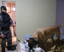 Denúncias de crimes e casos de violência na região Central da Capital embasaram a Ação Integrada de Fiscalização Urbana (AIFU), em parceria com a 1ª Companhia do 12º Batalhão da PM (12º BPM), a deflagrarem a primeira edição da operação Centro Seguro, nesta quinta-feira (19/08).   -  Curitiba, 19/08/2021  -  Foto: SESP-PR