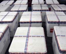 O Paraná recebeu nesta sexta-feira (20) mais 325.660 doses de vacinas contra a Covid-19. O lote enviado pelo Ministério da Saúde foi dividido em duas remessas, com 138.060 imunizantes produzidos pela Pfizer e 187.600 doses da CoronaVac. A distribuição para as 22 regionais que formam o sistema de saúde estadual começa já nesta sexta. -  Curitiba, 20/08/2021  -  Foto: Américo Antonio/SESA