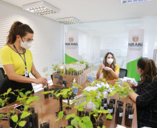 A distribuição de mudas nativas por meio da Campanha Floresce Paraná, nesta sexta-feira (27), acontecerá em 21 pontos do Estado, além de Curitiba.
“O Floresce Paraná vem simbolizar o florescer do nosso Estado, na economia, saúde, no meio ambiente e em todas as áreas”, disse Luciana Saito Massa, primeira-dama do Paraná e presidente do Conselho de Ação Solidária.  Foto: Valdelino Pontes