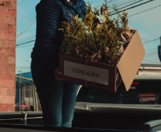 Ação acontece entre os dias 01 e 10 de setembro. Objetivo é incentivar o plantio de mudas de árvores nativas e arrecadar alimentos para ajudar famílias em situação de vulnerabilidade social.  -  curitiba, 30/08/2021  -  Foto: IAT
