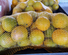 Compra Direta contribui para alimentação saudável e geração de renda no campo em Paranavaí  -  Curitiba, 31/08/2021  -  Foto: SEAB Paranavaí