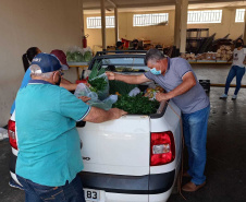Compra Direta contribui para alimentação saudável e geração de renda no campo em Paranavaí  -  Curitiba, 31/08/2021  -  Foto: SEAB Paranavaí
