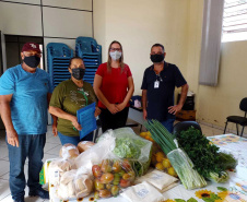 Compra Direta contribui para alimentação saudável e geração de renda no campo em Paranavaí  -  Curitiba, 31/08/2021  -  Foto: SEAB Paranavaí
