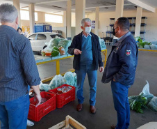 Compra Direta contribui para alimentação saudável e geração de renda no campo em Paranavaí  -  Curitiba, 31/08/2021  -  Foto: SEAB Paranavaí