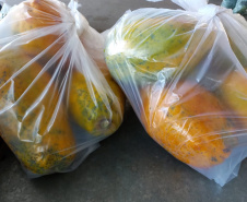 Compra Direta contribui para alimentação saudável e geração de renda no campo em Paranavaí  -  Curitiba, 31/08/2021  -  Foto: SEAB Paranavaí