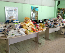 Cerca de 70 famílias de Toledo são beneficiadas com cestas de alimentos, nesta semana. Os donativos são frutos da doação da população em troca de uma muda de árvore nativa, distribuída pelo Instituto Água e Terra (IAT). -  Curitiba, 31/08/2021  -  Foto: SEDEST