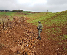 Policiais e agentes do IAT aplicam mais de R$ 1 milhão de multas e quatro pessoas são presas durante a Operação Nascente Viva  -  Curitiba, 31/08/2021  -  Foto: PMPR