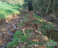 Estado aplica R$ 1 milhão em multas e apreende madeira nativa em ação contra o desmatamento  -  Curitiba, 31/08/2021  -  Foto: PMPR