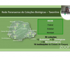 Seminário do NAPI Taxoline  -  Foto: Fundação Araucária