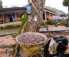 Portos do Paraná ensina tecnologia ?caxambu? nas comunidadesisoladas - Sistema de proteção de nascentes evita contaminação da água. Trabalho faz parte doprojeto de readequação de microssistemas de abastecimento de água nas áreas deabrangência dos portos paranaenses.  -  Paranaguá, 31/08/2021  -  Foto: Pierpaolo Notta/Portos do Paraná