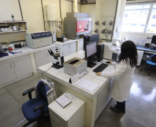 Tecpar analisa qualidade de produtos para indústria da saúde.
Foto: Arnaldo Alves / Arquivo AEN