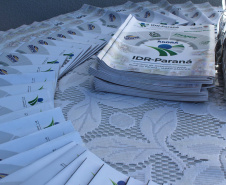 IDR-Paraná ganha nova unidade regional em Cascavel. Foto: SEAB