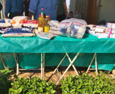 IAT continua com ações de distribuição de mudas de árvores nativas em troca de alimentos. Foto: IAT