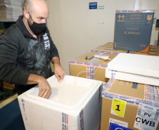 A Secretaria de Estado da Saúde recebeu nesta segunda-feira (6) mais 115.782 doses de vacinas contra a Covid-19. As doses da Pfizer/BioNTech desembarcaram no Aeroporto Internacional Afonso Pena, em São José dos Pinhais, às 15h30, no voo LA4791 e são referente à 53% da segunda dose (D2) da 28ª pauta.  -  Curitiba, 06/09/2021  -  Foto: Ari Dias/AEN