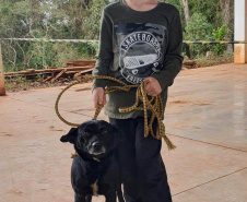 O Programa Permanente de Esterilização de Cães e Gatos (CastraPet Paraná)se despede do município de Boa Ventura de São Roque, no Centro do Estado,nessa sexta-feira (10) com o dever cumprido.  -  Curitiba, 10/09/2021  -  Foto: SEDEST